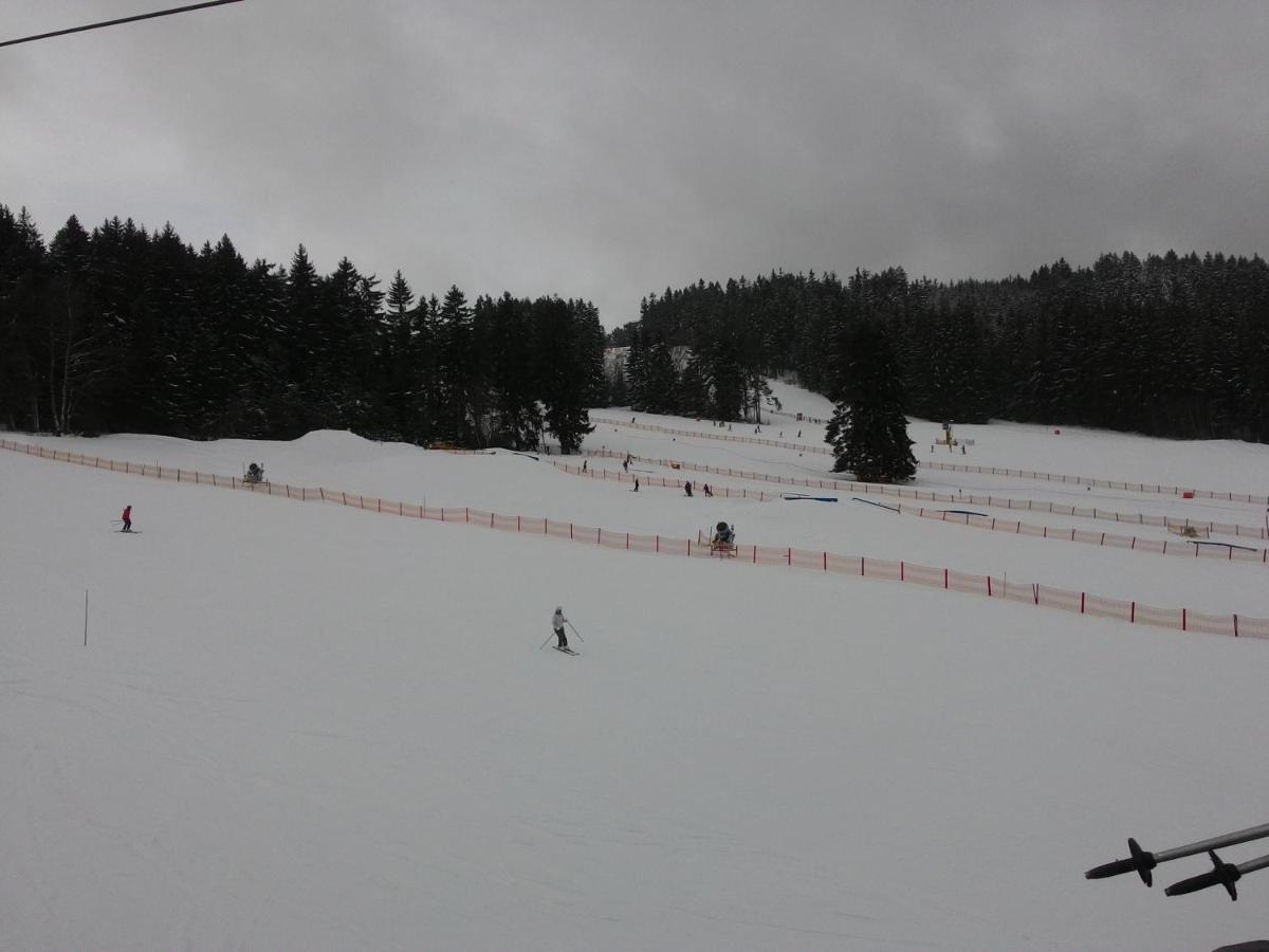 Apartmány Lipno-1 Lipno nad Vltavou Esterno foto