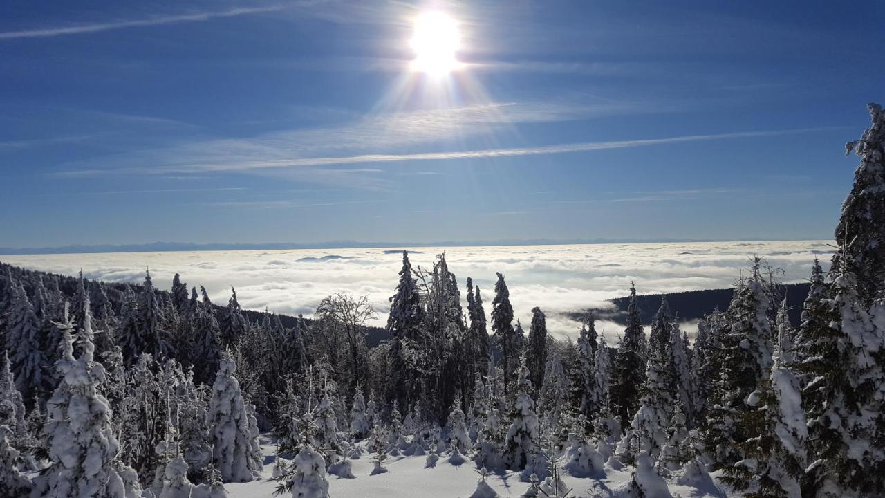 Apartmány Lipno-1 Lipno nad Vltavou Esterno foto