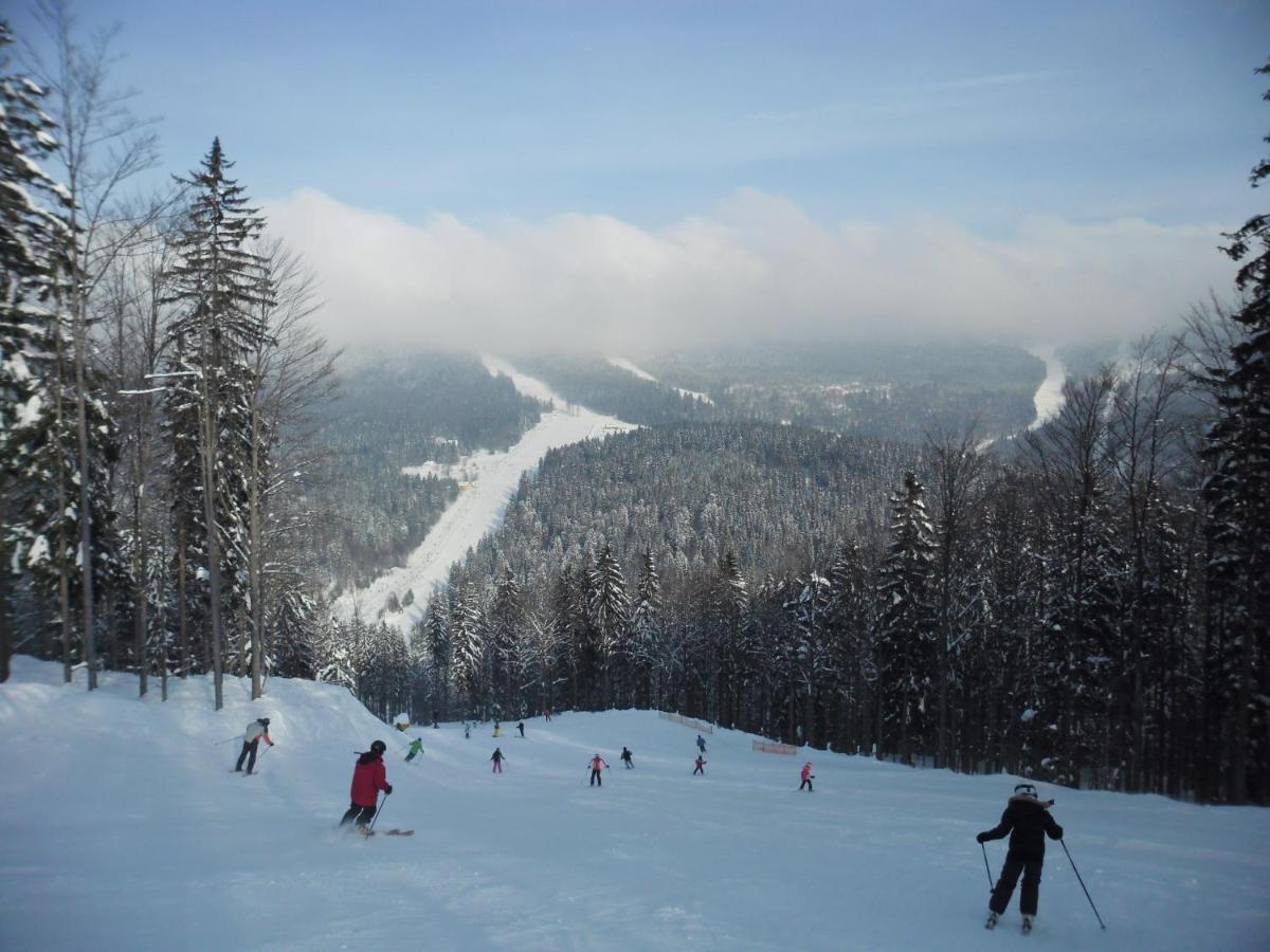 Apartmány Lipno-1 Lipno nad Vltavou Esterno foto