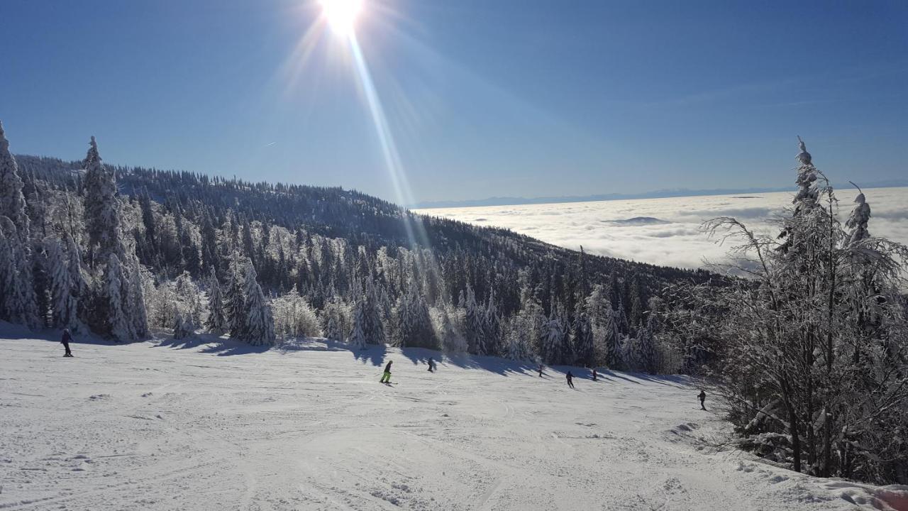 Apartmány Lipno-1 Lipno nad Vltavou Esterno foto