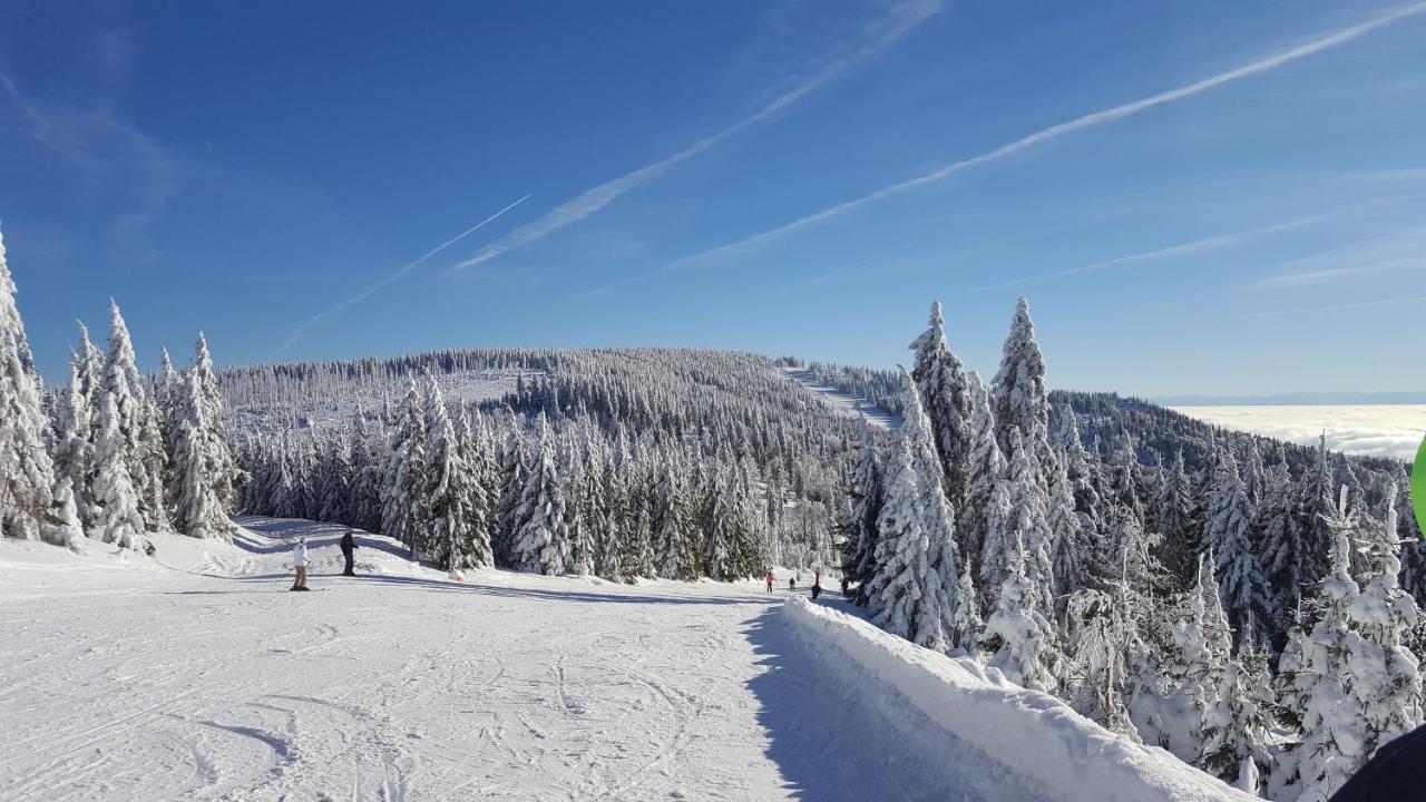 Apartmány Lipno-1 Lipno nad Vltavou Esterno foto